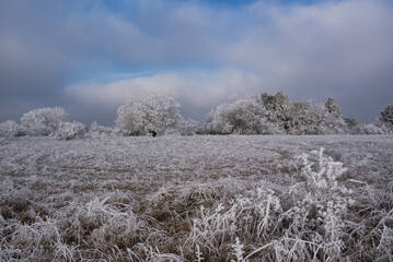 Mit Rauhreif überzogene Landschaft im Winter
