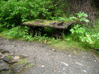 antique wagon cart surrounded by plants