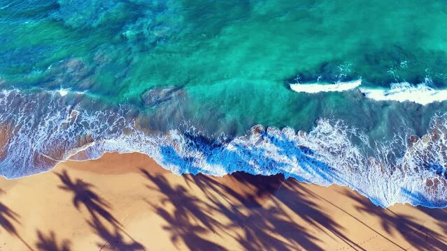 Top view of large sea waves with white foam on a sandy tropical beach. Turquoise wave on yellow pescea. Sea palm coast background. Ocean beach at high tide. Shadows of palm trees.