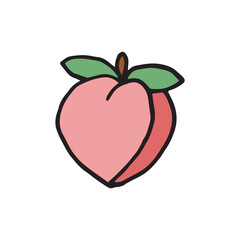 Hand drawn vector illustration peach