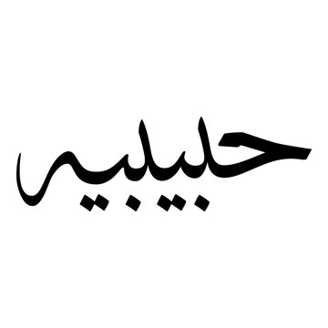 Habiba Muslim Girls Name Sulus Font Arabic Calligraphy 
