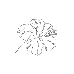 Hibiscus flower in continuous line art drawing style. Hibiscus black line sketch