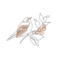 Abstract small bird perched on berries tree branch. Bird on a branch continuous one line drawing - 728568913
