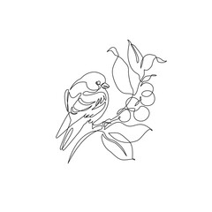 Abstract small bird perched on berries tree branch. Bird on a branch continuous one line drawing - 728568921