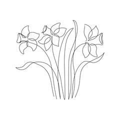 Narcissus flower in continuous line art drawing style. Narcissus black line sketch. - 728568954