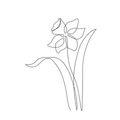 Narcissus flower in continuous line art drawing style. Narcissus black line sketch. - 728568956