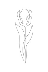 Tulip flower continuous line art drawing style. Tulip line sketch. Mother`s day concept - 728568959