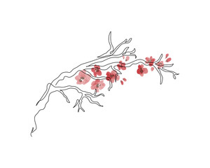 Sakura branch line art, watercolor flowers isolated on white background - 728568989