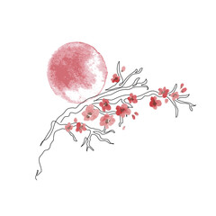 Sakura branch line art, watercolor flowers isolated on white background - 728568992