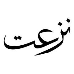 Nazeeta Muslim Girls Name Sulus Font Arabic Calligraphy 