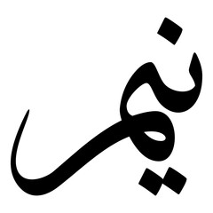 Neem Muslim Girls Name Sulus Font Arabic Calligraphy 