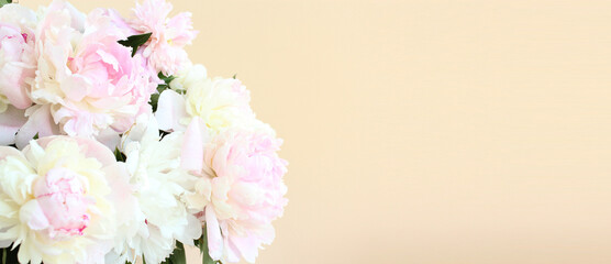 Graceful Blooms: Delicate Peonies on Soft Pastel Background