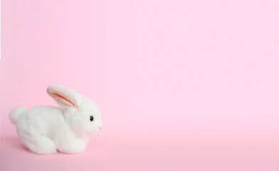 Sweetness and Serenity: A Delightful Easter Bunny on a Soft Pink Background