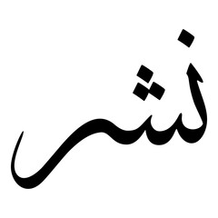 Nushur Muslim Girls Name Sulus Font Arabic Calligraphy 