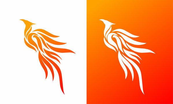 vector graphic illustration of template logo symbol phoenix fire