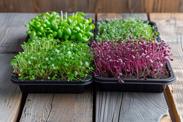 Trays with various microgreens standing on wooden table, front view