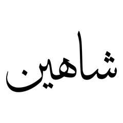 Shaaheen Muslim Girls Name Sulus Font Arabic Calligraphy 