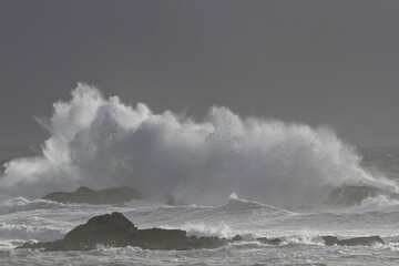 Sea wave splash