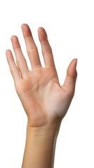 Woman hand holding grabbing or measuring something isolated on white background with clipping path. Five fingers. Full Depth of field. Focus stacking. Generative AI