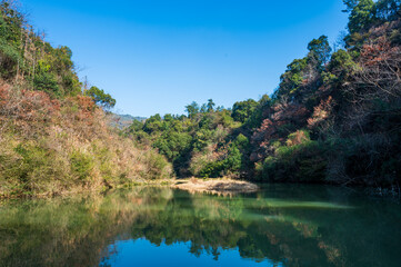 Obraz premium mountain river in the mountains