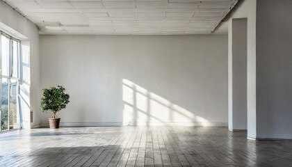 modern minimalist interior with a big empty white wall.