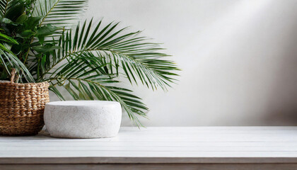 photo empty white wall interior with small plant