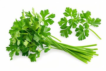 Parsley herb isolated on white background. With clipping path. Full depth of field. Focus stacking, Generative AI