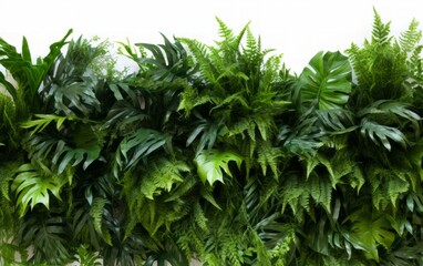 A Green Wall With Plants Growing On It