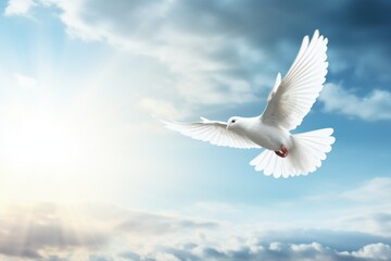 Calm sky, angel's proclamation, peace symbolized by a white dove, space for text