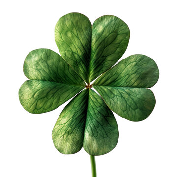 Shiny Four-Leaf Clover Isolated on Transparent or White Background, PNG