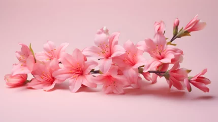 Foto op Canvas pink flowers 8k background image,, bouquet of pink roses © sanjaykhan