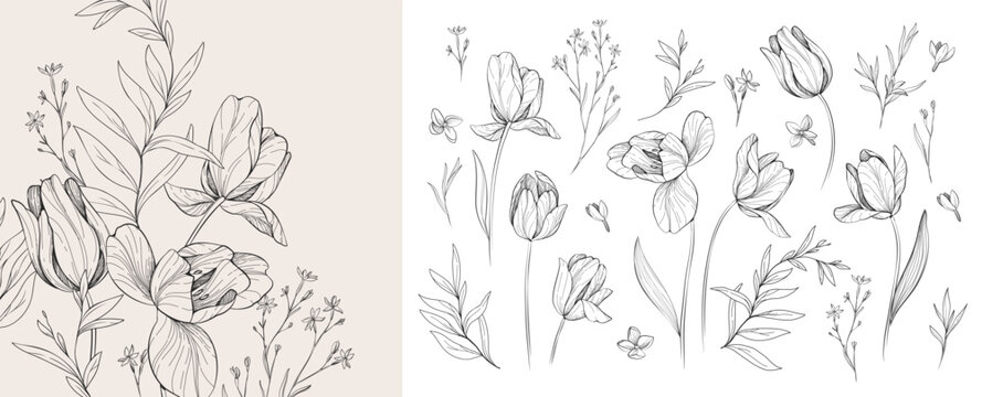 Set of detailed black and white drawing various flowers and leaves. Luxury floral collection for wedding invitation, wallpaper art or save the date card