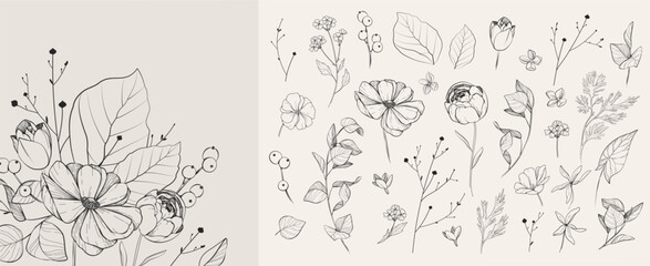 Set of detailed black and white drawing various flowers and leaves. Luxury floral collection for wedding invitation, wallpaper art or save the date card © merfin