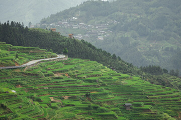 Landscape of jiabang terrace guizhou china.