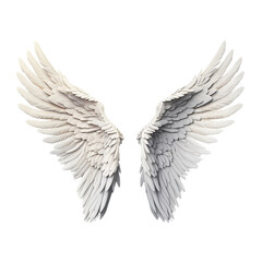 Angel wings isolated on white background