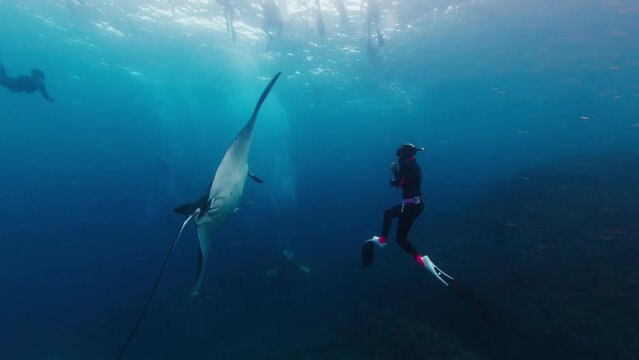 Female freediver swims underwater in the sea with Manta Ray