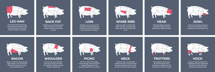 Guide cutting meat carcass pork, turkey, lamb, cow, chicken. Butcher guide. Diagrams сutting parts meat carcass domestic farm poultry and farm livestock. Vector flat color illustration isolated.