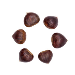 Top view of chestnuts forming a circle on a cutout PNG transparent background