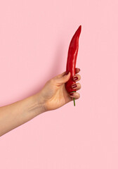 Female hand holds red chili pepper on pink background.