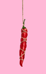 Red hot pepper tied with jute rope on pink background. Shibari concept.