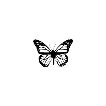 Illustration vector graphic of batterflies icon