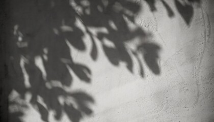 Shadow Leaves Overlay Light on Cement Wall Concrete Background