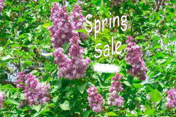 Season sale text. Can be used for web banners, wallpaper, flyers, voucher discount. Vibrant Purple...
