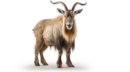 Generate a realistic image of a single Markhor isolated on a white background,