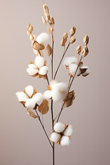 a bunch of cotton with leaves on a color background