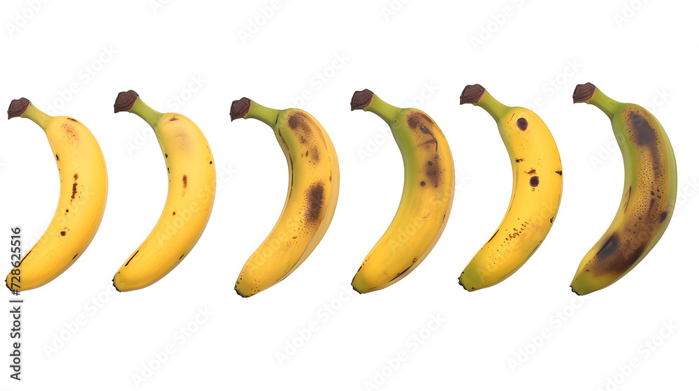 Canvas Prints Ripening stages of banana isolated on white background.