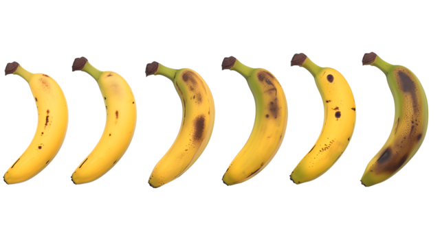 Ripening stages of banana isolated on white background. - Powered by Adobe