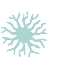  Multi Series Coral Sea Icons