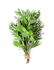 Fragrant herbal on white backgrounds