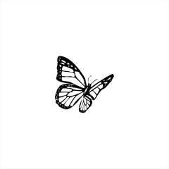 Fototapeta na wymiar Illustration vector graphic of batterflies icon